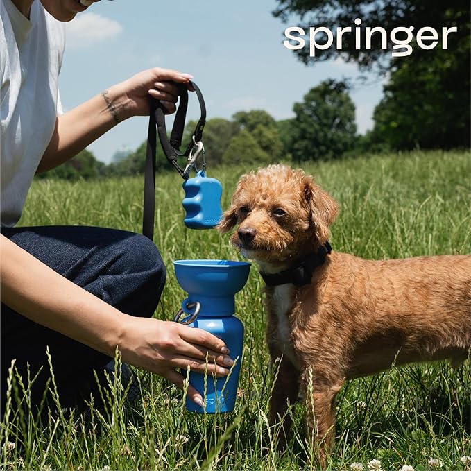Springer Dog Treat Pouch for Effort-Free Squeeze Dispensing - Easy-Fill, Food-Grade Silicone Treat Pouches for Pet Training - Includes Carabiner-Blueberry