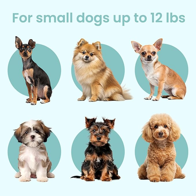 KindTail PAWD Collapsible Puppy and Dog Crate + Washable Bed - Stylish Pet Kennel with Comfortable Pad - Safe Indoor Set - Lightweight, Compact & Portable for Travel - Small White