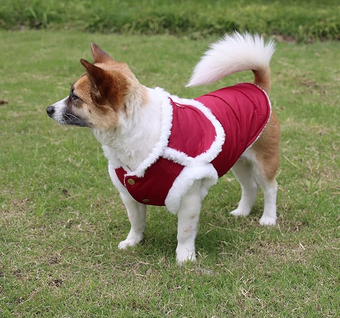 Shawl Design Fleece Lined Warm Dog Jacket for Puppy Winter Cold Weather,Soft Windproof Small Dog Coat,Red S