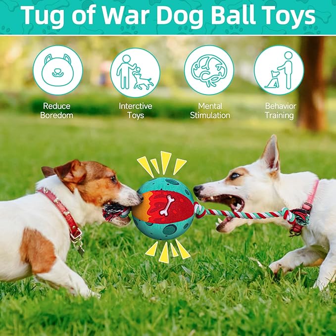 QDAN Dog Soccer Ball for Dogs, Durable Outdoor Dog Toys, Plush Dog Balls, Pet Rope Birthday Toys for Small to Large (Skull)