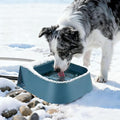 Dog Heated Water Bowl with Float Valve, No Freeze Auto-Fill Outdoor Water Dispenser for Dogs/Cats/Chickens/Rabbits in Winter