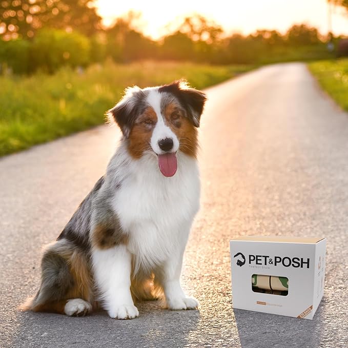 Pet & Posh Dog Poop Bags - 120 Count (8 Rolls) - Extra Thick & Leak-Proof Unscented Waste Bags - Made with 65% Recycled Plastic - 9x13 Inch Heavy Duty Refills for All Dog Breeds