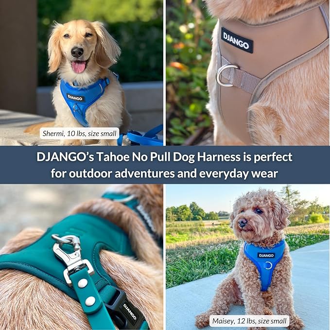 DJANGO Tahoe No Pull Dog Harness – Escape-Proof Dog Harness for Large & XL Dogs with Front & Back Clips for Everyday Use – Adjustable, Padded, Reflective, Secure Fit, Easy On/Off – Alpine Blue, XXL