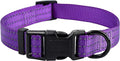 Mile High Life Dog Collar | Nylon Reflective Dog Collars | Light Weight Puppy Collars | Purple Dog Collars for Small Dogs (Solid Purple, X-Small)