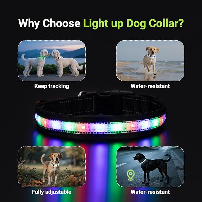 Light Up Dog Collar,Rechargeable Waterproof Led Dog Collar with Remote,Glow in Dark for Night Walking, Fits Small Medium Large Dogs-L