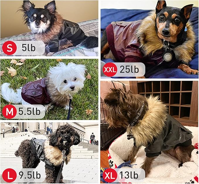 LESYPET Dog Leather Jacket for Small Dogs, Waterproof Dog Winter Jacket Puppy Coat with Fleece Lined, Ultra Warm Fur Collar Doggie Coat, Red X-Large