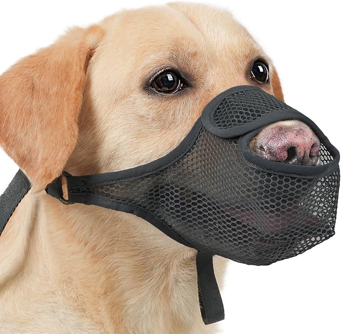 LUCKYPAW Dog Muzzle for Large Medium Small Dogs, Patented Mesh Muzzle to Prevent Biting Chewing Eating, Soft Mouth Guard with Front Opening Design for Drinking Panting (Grey, XS)