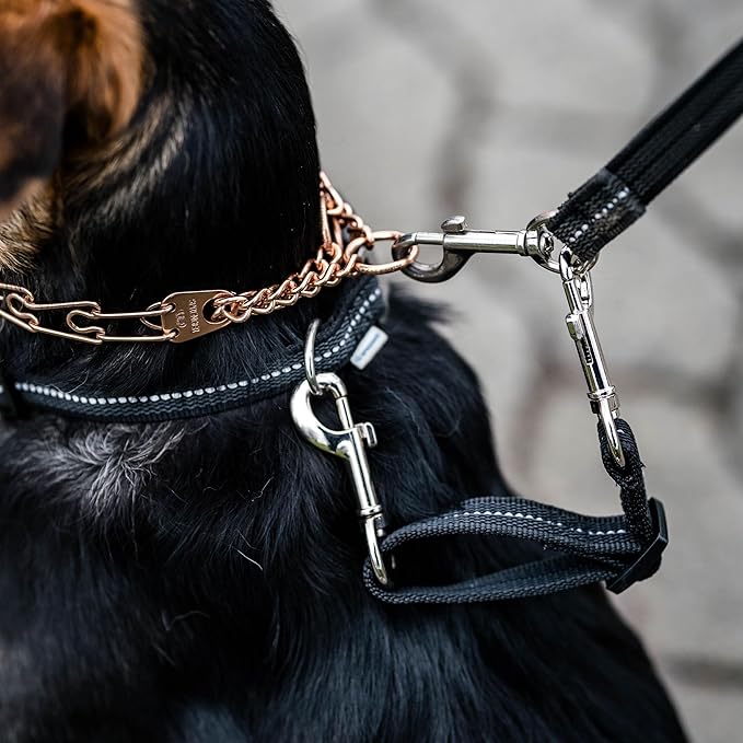 Herm. Sprenger Prong Collar Safety Clip with Reflective Stripes 6"-8" - Pack of 1 Dog Leash Safety Strap - Enhanced Durability for Secure Leash Connection - Ideal for Safe Walk and Training (Green)