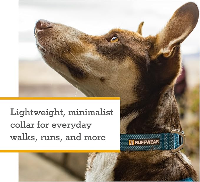 Ruffwear, Hi & Light Dog Collar, Ultralight Quick Release Buckle, Adjustable Trail Running Polyester Collar with Silent ID Attachment, Sage Green, 14"-20"