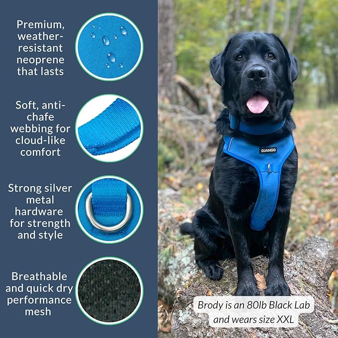 DJANGO Tahoe No Pull Dog Harness – Escape-Proof Dog Harness for Large Dogs with Front & Back Clips for Everyday Use – Adjustable, Padded, Reflective, Secure Fit, Easy On/Off – Alpine Blue, XL