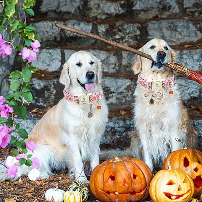 Lionheart glory Halloween Dog Collar-Pumpkin Floral Fall Pink Dog Collars with Cute Ghost Pendant Soft Adjustable Collar for Small Dogs Female Male Collars Party Pet Gift