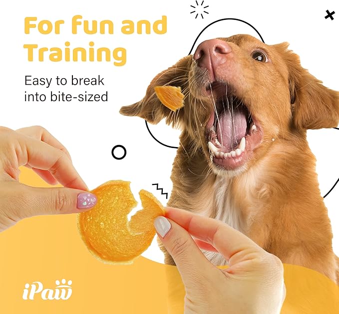 iPaw Chicken Chips Dog Treats for Puppy Training, All Natural Human Grade Dog Treat, Hypoallergenic, Easy to Digest (Chicken Chips), 2 Packs