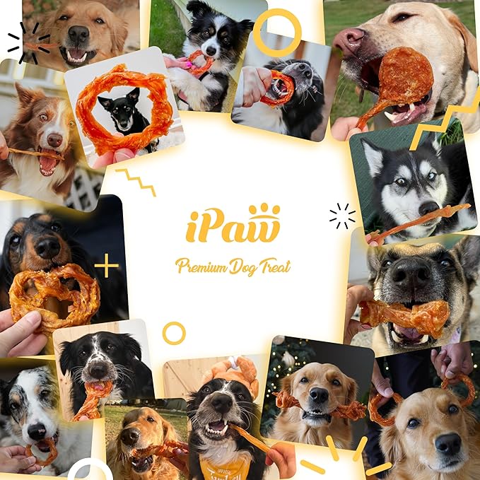 iPaw Turkey Tendon for Dogs, Ingredient Sourced from USA, Hypoallergenic, All Natural Human Grade Puppy Chew, Dog Treats for Signature Series, Rawhide Alternative, 1 Units/Pack Bone (Large)