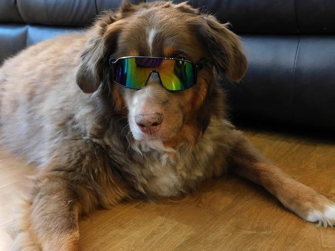 G010 Dog Pet Turbo Sports Sunglasses Medium Breeds 20-40 lbs (Sports Turbo Black-Rainbow Mirror)