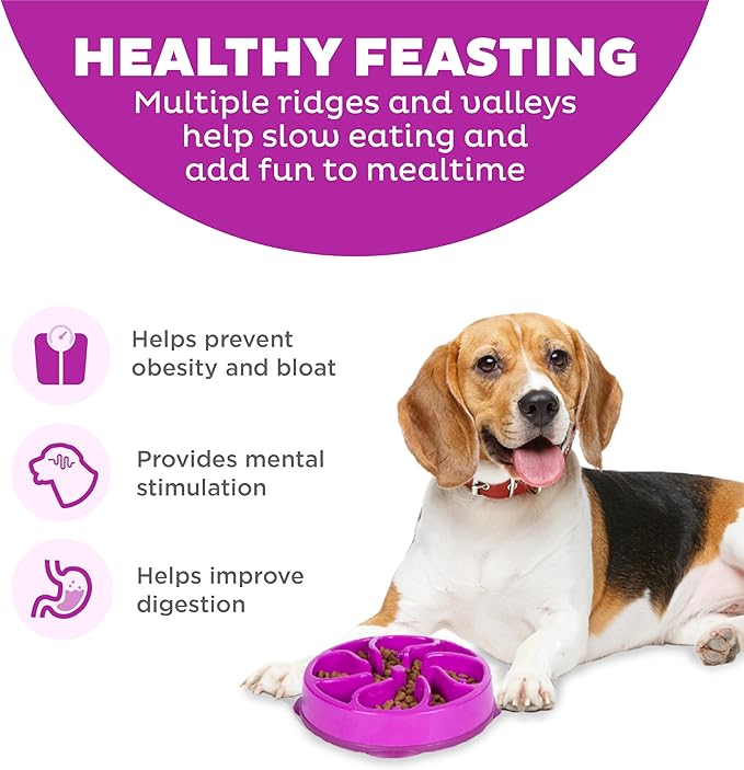 Outward Hound Medium Slow Feeder Bowl, Puzzle Maze for Fast Eaters, Small to Medium Dogs, Helps Prevent Bloat & Aid Digestion, Holds 2 Cups Wet or Dry Food, Non-Slip, Made Without BPA, Purple
