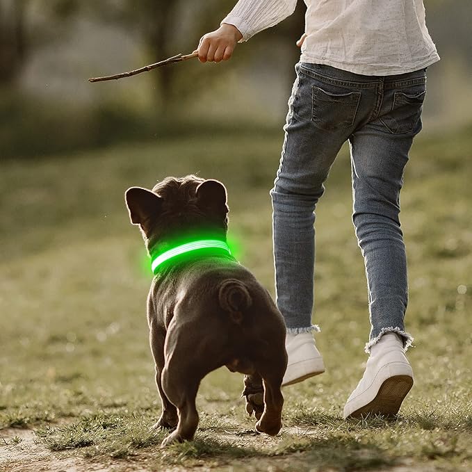 YFbrite Full Adjustbale LED Dog Collar, Full Illuminated Light up Dog Collars, Reflective Dog Collar Light Glowing in The Dark for All Dogs Safety (Medium, Green-2)