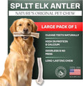 Mountain Valley Elk Antlers for Dogs - 100% Natural & Organic Chew for Aggressive Chewers, No Odor, No Mess, Long Lasting - Wild-Foraged Naturally Shed Antlers in USA - Grade A, Split Large (1 Pack)