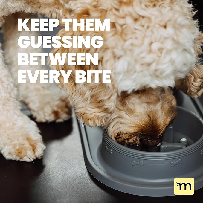 MalsiPree 2-in-1 Slow Feeder & Water Bowl Set 15 oz - Anti-Spill Silicone Mat - Stainless Steel Dish, Stainless Steel Water Bowl - Eases Digestion - Pet Gift for Cat, Puppy, Small & Medium Dog Slow