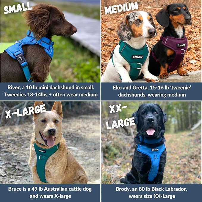 DJANGO Tahoe No Pull Dog Harness – Escape-Proof Dog Harness for Large Dogs with Front & Back Clips for Everyday Use – Adjustable, Padded, Reflective, Secure Fit, Easy On/Off – Raspberry Purple, XL