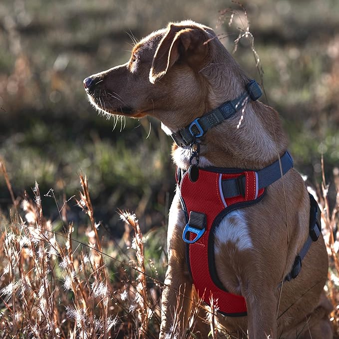 Embark Adventure Dog Harness, Reflective Trim No Pull Dog Harness Medium Sized Dogs - Military Grade Nylon, Front Clip with Gel Lined Handle.