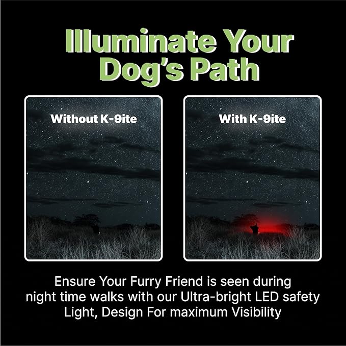 Rechargeable LED Dog Collar, Adjustable Size Light Up Collar with 360° Halo Effect, Ultra-Bright RGB Light, Weather-Resistant Design, Flash Mode, & USB-C Charging for Small, Medium & Large Dogs
