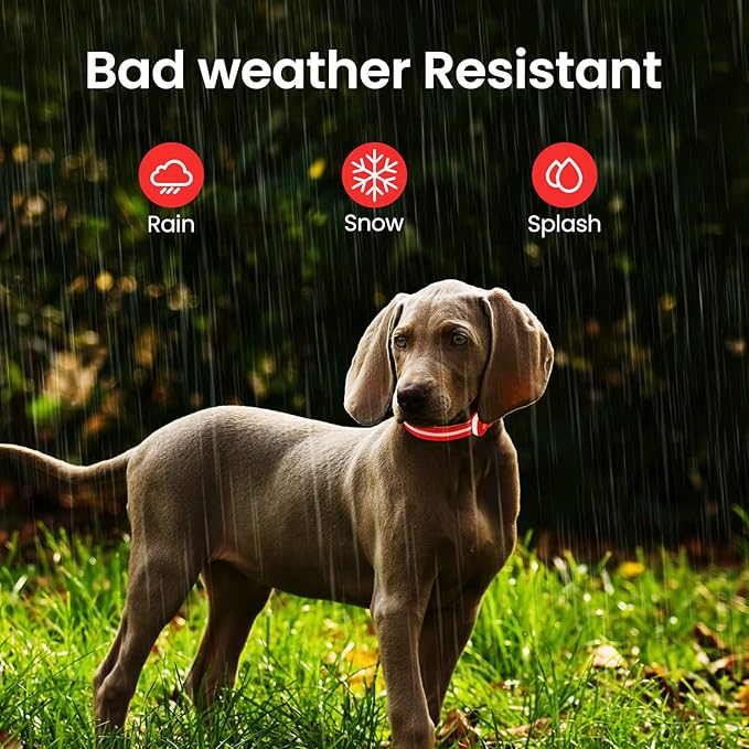 MASBRILL Light Up Dog Collars-RGB Led Collar for Dogs Rechargeable Lighted Dog Collar Water-Resistant Colorful Glow in The Dark Dog Collars for Night Walking