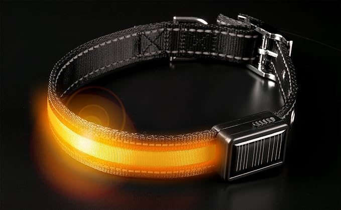 Brite Strike - LPCSU-ORANGE-LG - Solar & USB Rechargeable LED Lighted Dog Safety Collar - Make Your Dog Seen in the Dark – 2.5 Hr Run Time, Water Resistant - Large, Orange