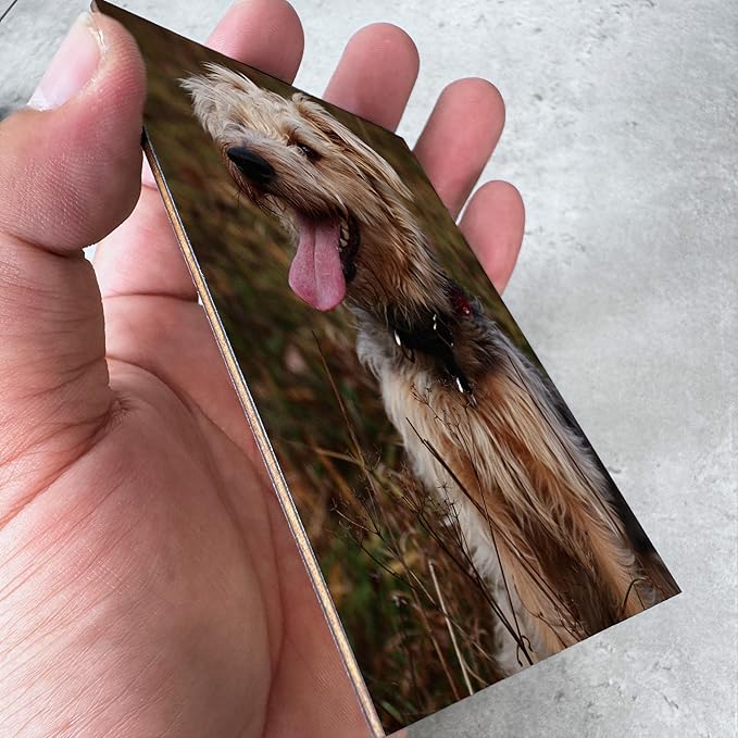 Personalized Shadow Box Dog Memorial Gift Collar Holder Picture Frame Sympathy Wood Pet Dog Cat Sculptures Fur Jar Rainbow Bridge Hair Teeth Keepsake Idea Gift for Pet Lover Tabletop Wall Hanging