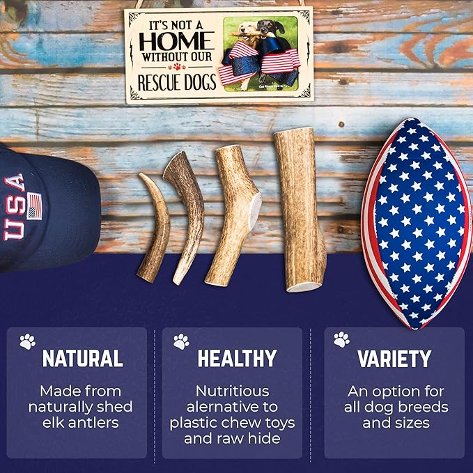 Devil Dog Pet Co. Elk Antlers for Dogs, Extra Large 7"+, 1 Pack, Grade A Long Lasting Chew for Aggressive Chewers, Premium USA Naturally Shed Antler – Healthy, No Odor, Durable Dog Chew