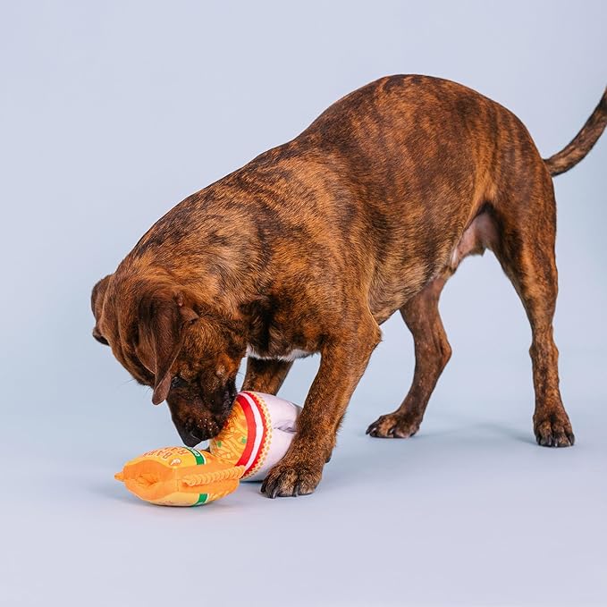 Fringe Studio Plush Dog Toy Set with Treat Pockets for Interactive Play, Nothin’ But Noodles, 2 Piece Set, Pet Shop Collection (124011)