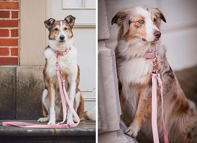 Soft Leather Dog Collar and Leash (6.6') Set - Stylish Rose Gold Heavy Duty Metal Buckle, 4 Adjustable Lengths Leash for Small Medium Large Dogs - Comfortable & Easy to Clean Pink XS(8"-12")