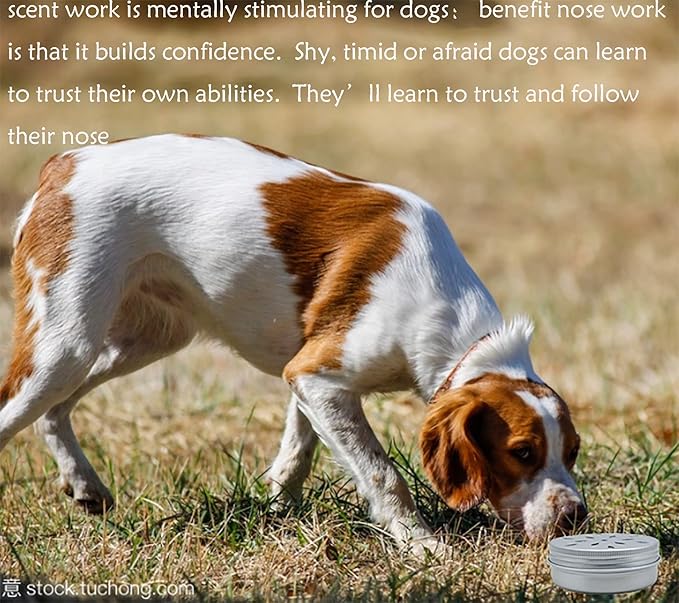 CHENGXINWENHUA Dog skent Work tins 6 Pack，Dog Scent Training Box，Dog Nose Work containers (drip)