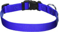 GOGO Pet Products Comfy Nylon 3/4-Inch Adjustable Pet Collar, Medium, Blue