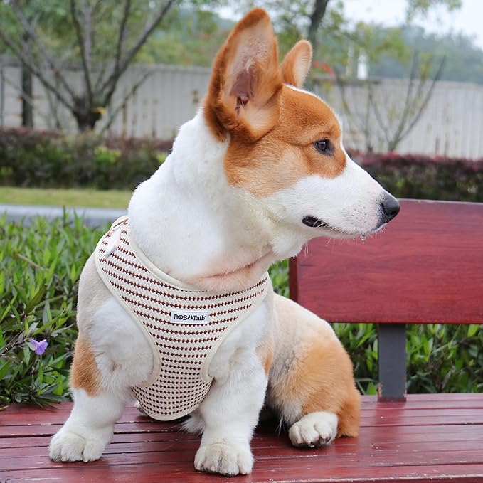No Pull Dog Vest Harness for Small&Medium Dogs, Side Clip Adjustable Pet Vest, Soft Breathable, Fashion Dog Harnesses for Walking, Running, Shopping (Beige, M)