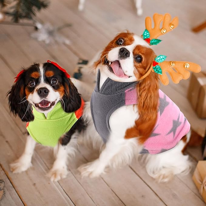 Reginary 10 Pack Large Dog Sweaters Fleece Pet Dog Clothes with Leash Ring Soft Warm Winter Puppy Plaid Shirt(Bright)