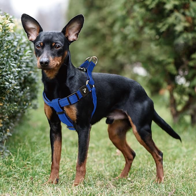 Kruz No Pull Dog Harness (Chest 26”-38”, Weight 44-88 lbs) Heavy-Duty Pet Harness for Large Breeds, Ultra-Comfort Fit, Lifetime Durability, Adjustable Dog Harness No Pull Design (Blue, Large)