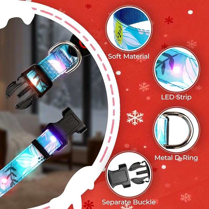 Light Up Dog Collar, LED Dog Collar Glow in The Dark - USBC Rechargeable, 3 Flashing Modes Adjustable Glow Collar, Safety Fashionable Cute Dog Light Up Collars for Medium Large Dogs Green