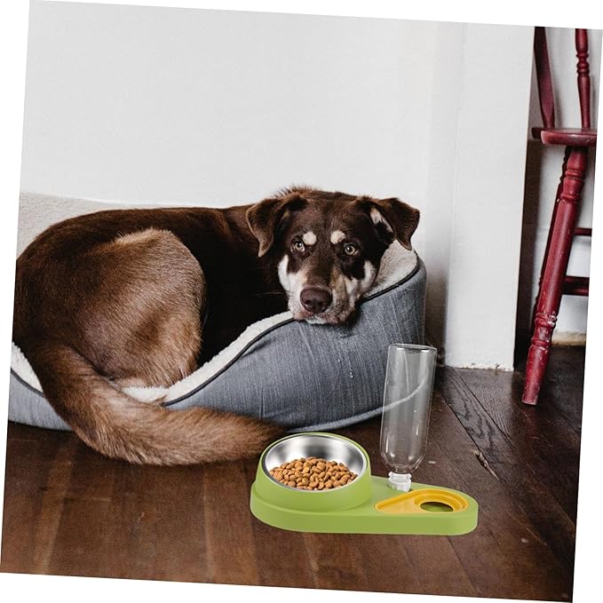 DECHOUS Dog Water Bowl Dispenser Automatic Dog Feeder with Cat Feeder Pet Feeding Bowls