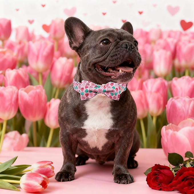Maca Bates Valentine's Day Dog Collar with Fancy Bow for Medium Girl Boy Dogs,Pink Love Hearts Pattern,Adjustable Durable Soft Valentine Gift for Female Male Puppy