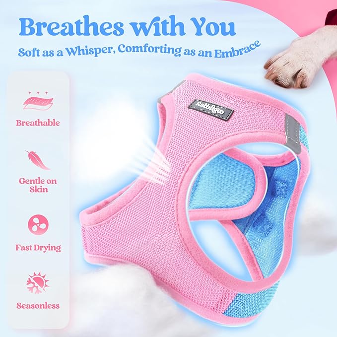 rabbitgoo Dog Harness Small Sized and Leash Set, Step in Soft Light Puppy Vest, Breathable Mesh Pet Harness, Reflective for Safe Easy Walking, Blue & Light Pink XS