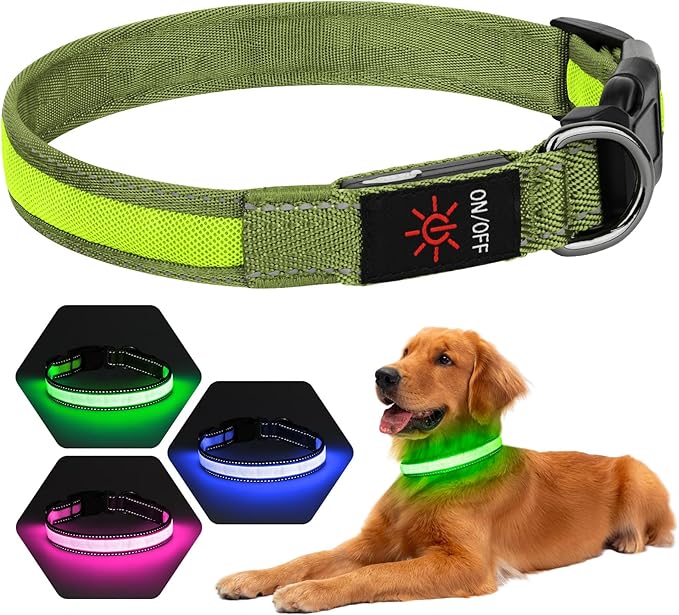 LED Dog Collar USB Rechargeable - Light Up Dog Collar Safety Pet Collars with Lights for Night Walking,Camping (Green, L)