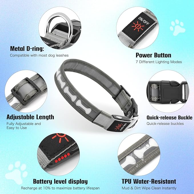 Flashseen LED Dog Collar Light Up USB-C Rechargeable, RGB 7 Colors 3 Modes Glow in The Dark Collar, Adjustable 360° Visibility Glowing Collars for Night Walking for Dogs (Grey, Large)