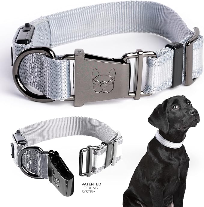 Silver Paw Light Up Dog Collars, LED USB Rechargeable Dog Collar, Waterproof & Durable (Grey,S)