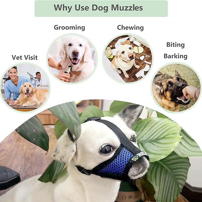 Dog Muzzle for Small Dogs XS for Grooming Barking Chewing, Barkless Soft Mesh Muzzles to Prevent Eating Poops,Best for Aggressive Dogs(Comfy-Blue)