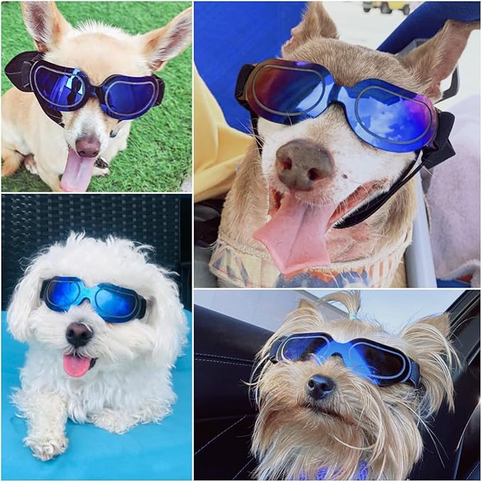 Namsan Dog Goggles Small Breed, Anti-UV Sunglasses for Dogs Small Breeds, Windproof Riding Dog Eye Protection, Yorkie Glasses with Elastic Straps, Easy Put-on/Adjustable, Bright Blue