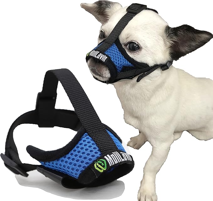 Dog Muzzle for Small Dogs XS for Grooming Barking Chewing, Barkless Soft Mesh Muzzles to Prevent Eating Poops,Best for Aggressive Dogs(Comfy-Blue)