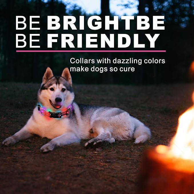 Light up Dog Collars,Led Dog Collar Rechargeable,Glow in Dark Dog Lights for Walking at Night for Small Medium, Large Dogs (Cute Pink)
