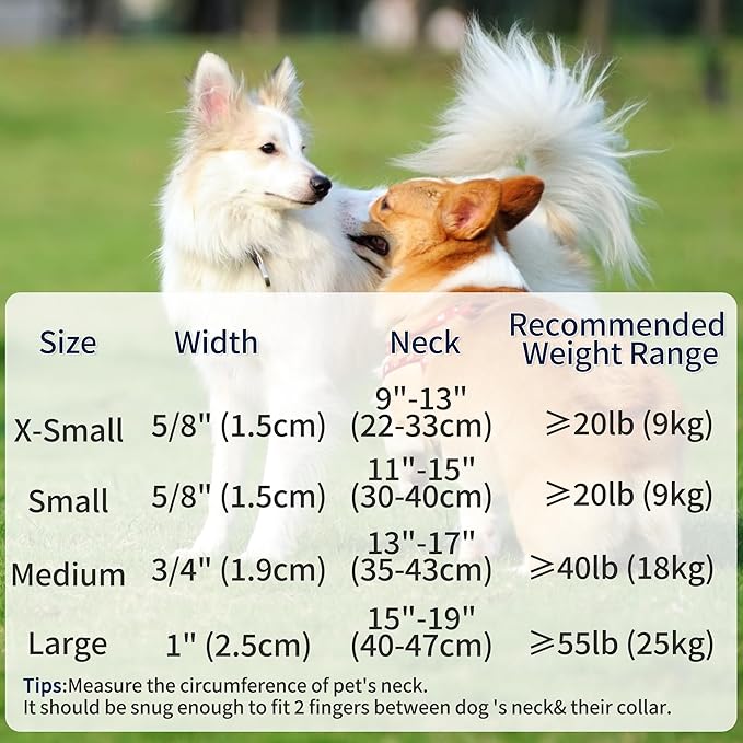 Mile High Life Reflective Dog Collar, Basic Dog Collars Adjustable Quick Release, Soft Nylon Pet Collar with Metal D-Ring for Small Medium Large Dogs (Green, S Neck11-15)