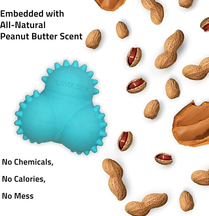 Playology Dog Toys | Puppy Toy Teething Bounce Ball Designed for Young & Active Dogs | Medium Peanut Butter Scented Toy Made from Non Toxic Materials