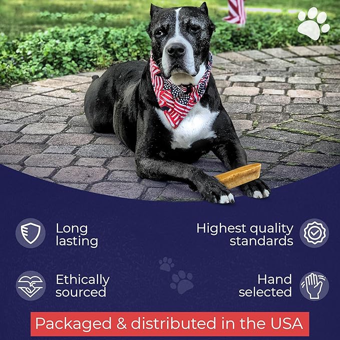 Devil Dog Pet Co. Himalayan Yak Cheese Dog Chews, Large - 4 Pack, 100% Natural & Healthy, Lactose-Free, Long-Lasting Dog Treats, Premium Yak Milk Chew Bones for Dogs